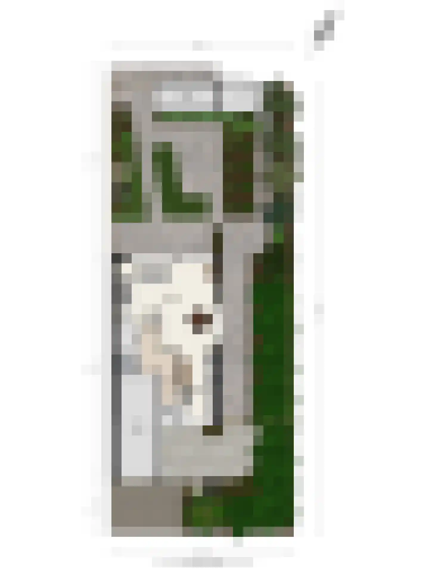 Fazantenkamp 199 Maarssen thumbnail 48