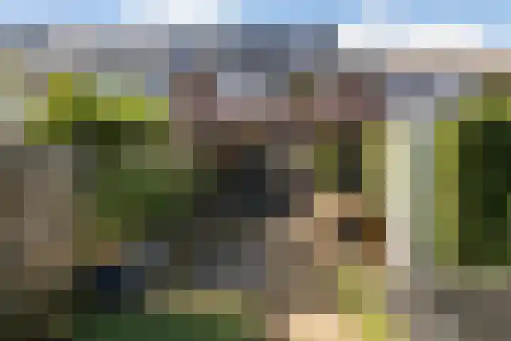 Fazantenkamp 225 Maarssen thumbnail 13