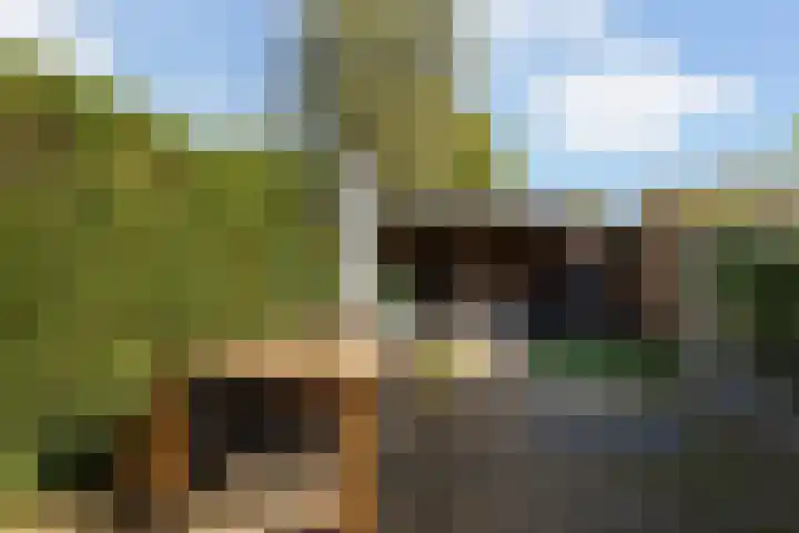 Fazantenkamp 225 Maarssen thumbnail 14
