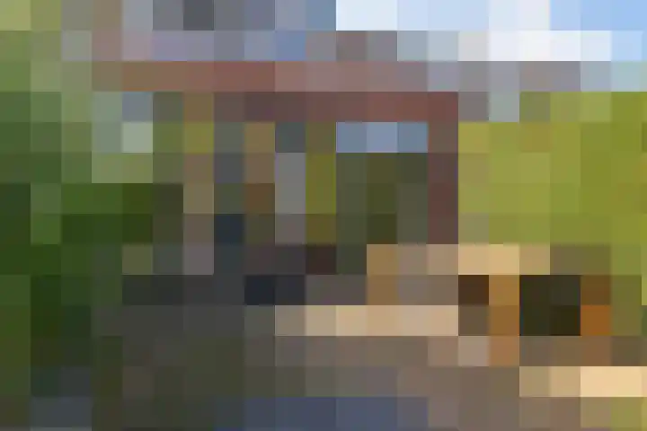 Fazantenkamp 225 Maarssen thumbnail 16
