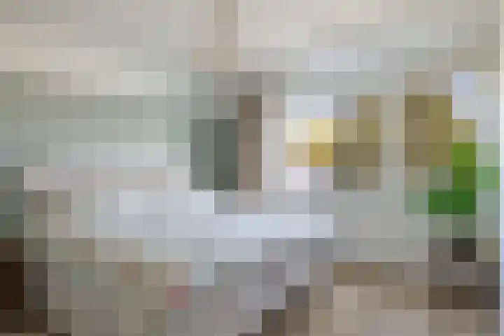 Fazantenkamp 225 Maarssen thumbnail 19