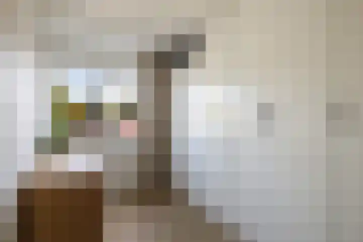 Fazantenkamp 225 Maarssen thumbnail 25