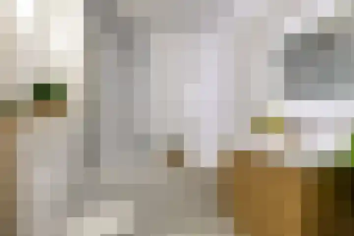 Fazantenkamp 225 Maarssen thumbnail 26
