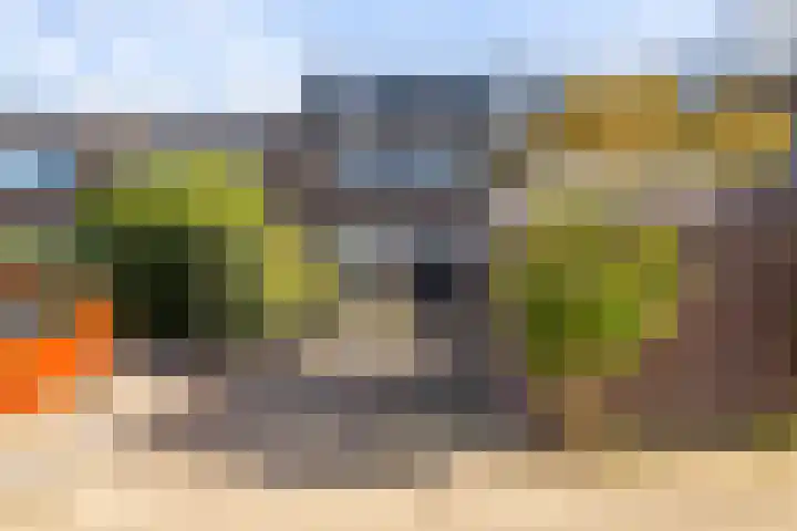 Fazantenkamp 225 Maarssen thumbnail 33