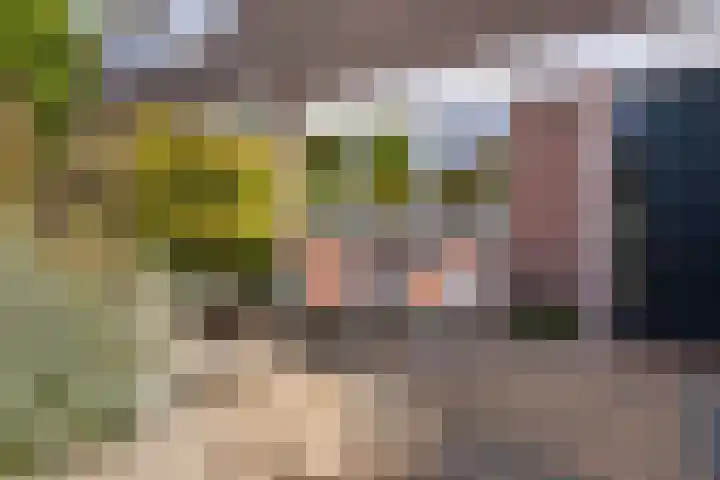 Fazantenkamp 225 Maarssen thumbnail 34
