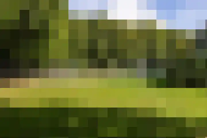 Fazantenkamp 225 Maarssen thumbnail 38