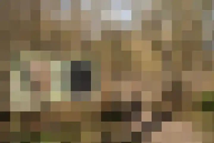 Fazantenkamp 225 Maarssen thumbnail 39