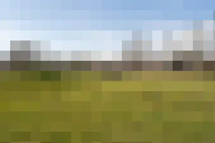 Fazantenkamp 225 Maarssen thumbnail 41