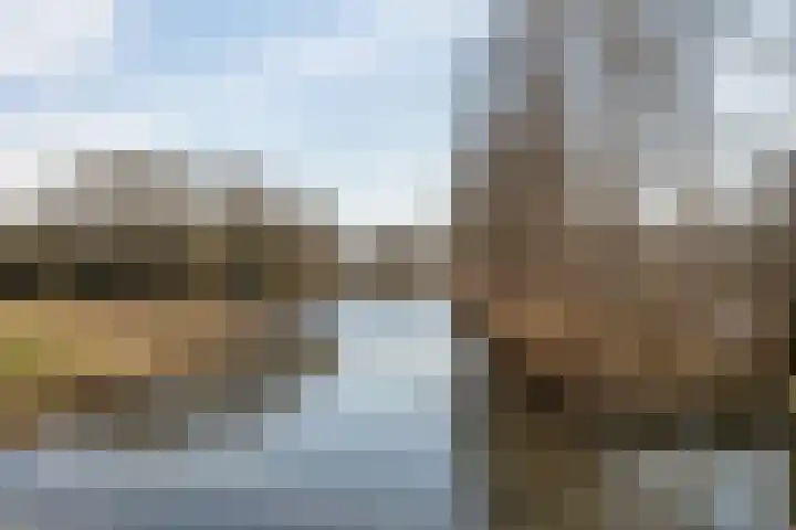 Fazantenkamp 225 Maarssen thumbnail 42
