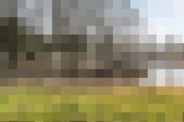 Fazantenkamp 225 Maarssen thumbnail 43