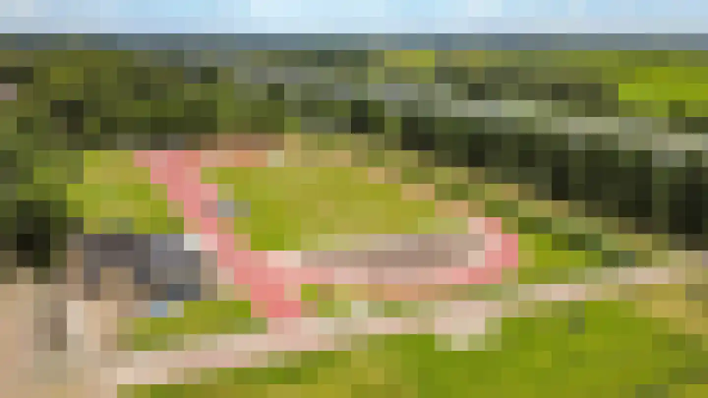 Fazantenkamp 228 Maarssen thumbnail 41