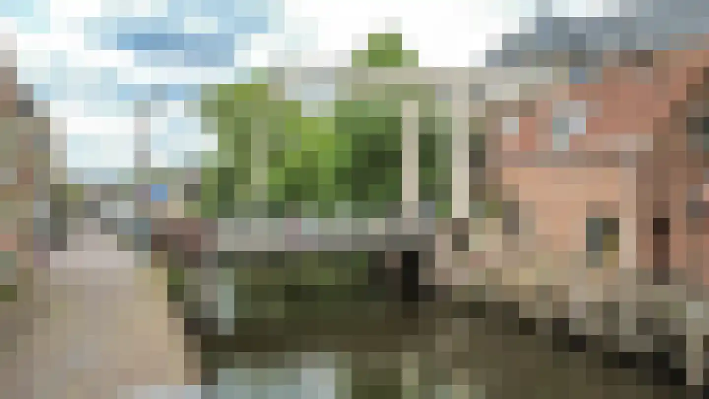 Fazantenkamp 228 Maarssen thumbnail 44