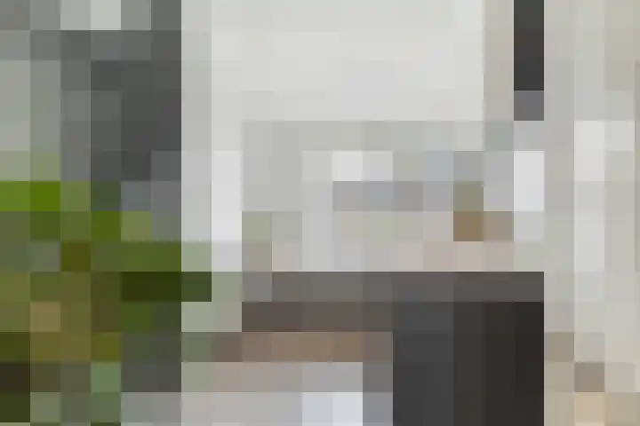 Fazantenkamp 230 Maarssen thumbnail 22