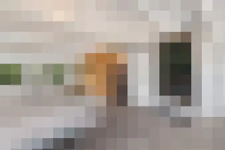 Fazantenkamp 230 Maarssen thumbnail 31
