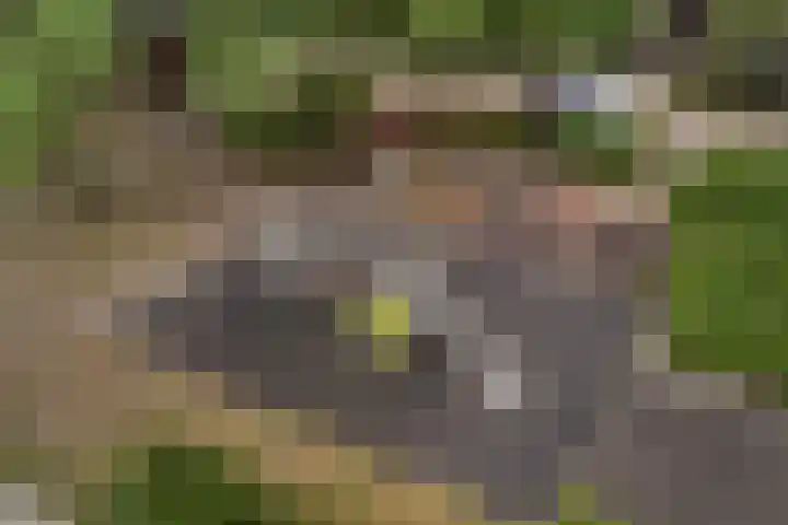 Fazantenkamp 230 Maarssen thumbnail 37
