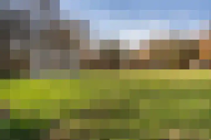 Fazantenkamp 230 Maarssen thumbnail 38