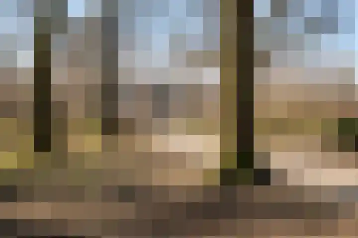 Fazantenkamp 230 Maarssen thumbnail 39