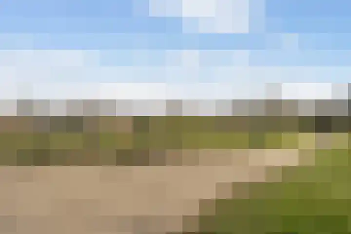 Fazantenkamp 230 Maarssen thumbnail 43