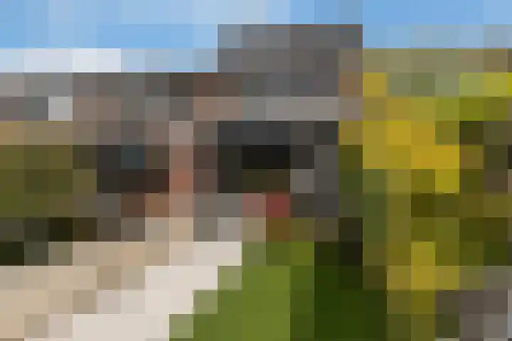 Fazantenkamp 230 Maarssen thumbnail 8