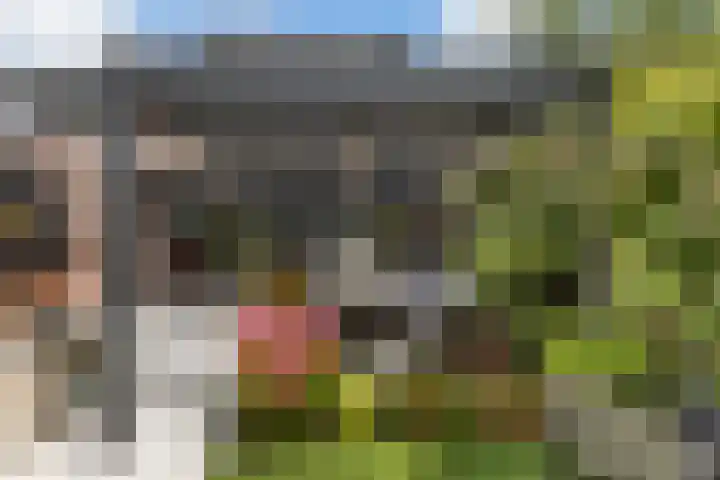 Fazantenkamp 230 Maarssen thumbnail 9