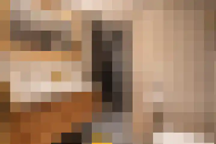 Fazantenkamp 277 Maarssen thumbnail 17