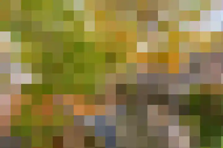 Fazantenkamp 277 Maarssen thumbnail 18