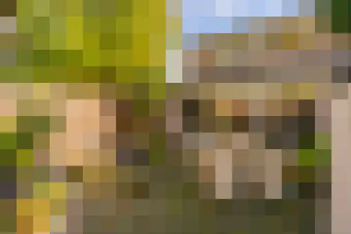 Fazantenkamp 277 Maarssen thumbnail 19