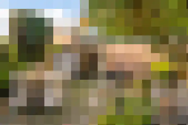 Fazantenkamp 277 Maarssen thumbnail 21