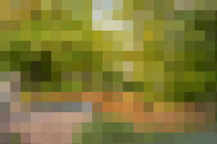 Fazantenkamp 277 Maarssen thumbnail 26