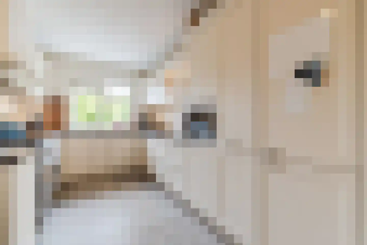 Fazantenkamp 317 Maarssen thumbnail 14