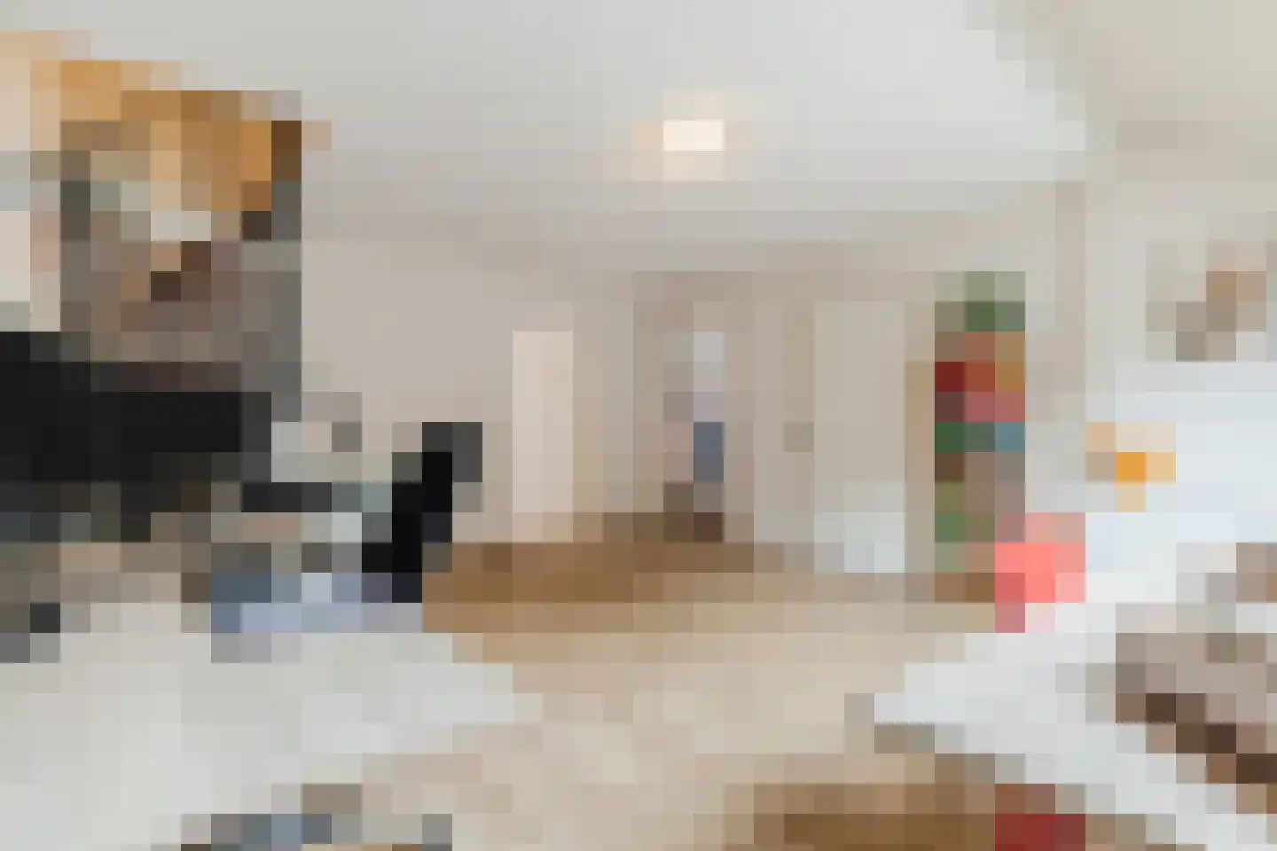 Fazantenkamp 317 Maarssen thumbnail 35