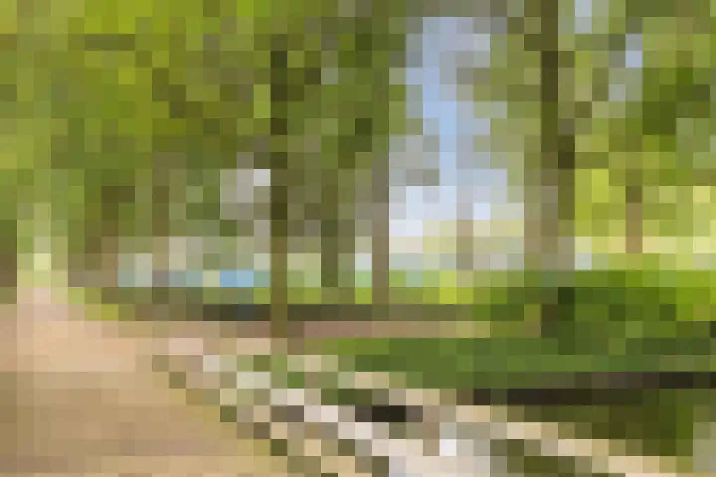 Fazantenkamp 317 Maarssen thumbnail 63