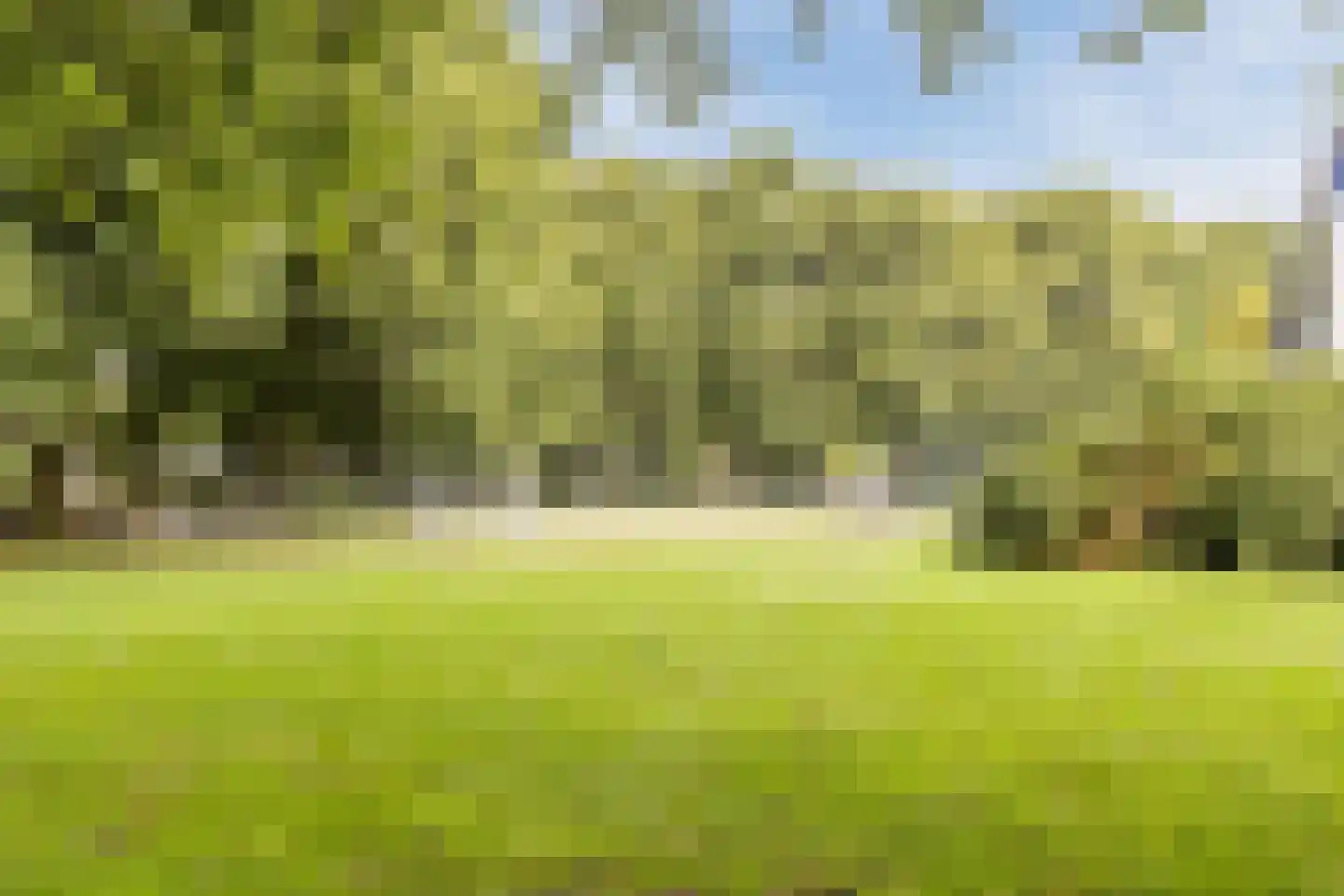 Fazantenkamp 317 Maarssen thumbnail 64
