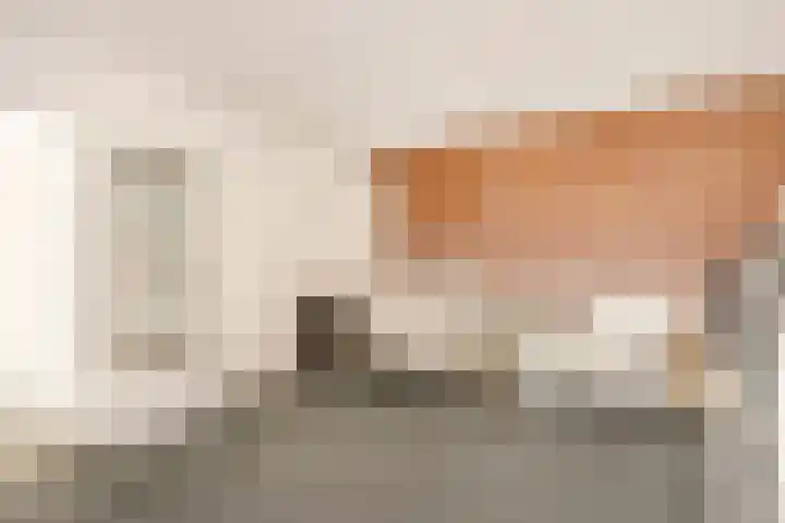 Fazantenkamp 319 Maarssen thumbnail 16