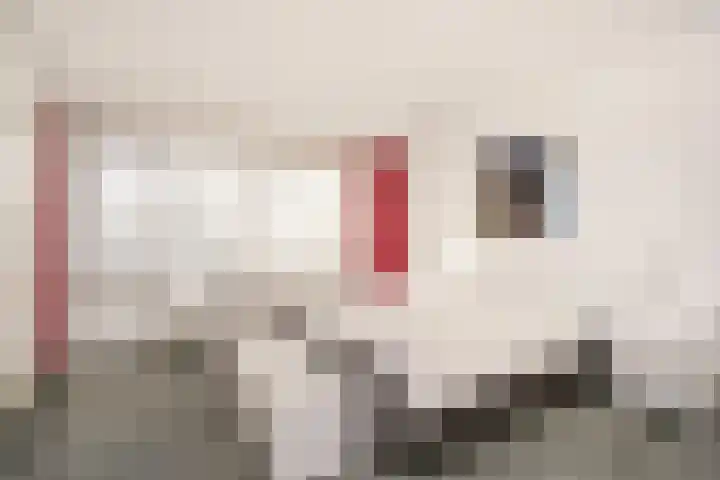 Fazantenkamp 319 Maarssen thumbnail 18