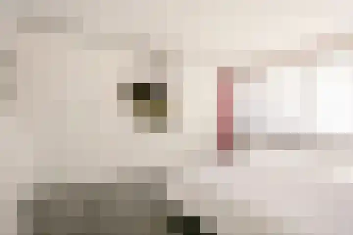 Fazantenkamp 319 Maarssen thumbnail 19