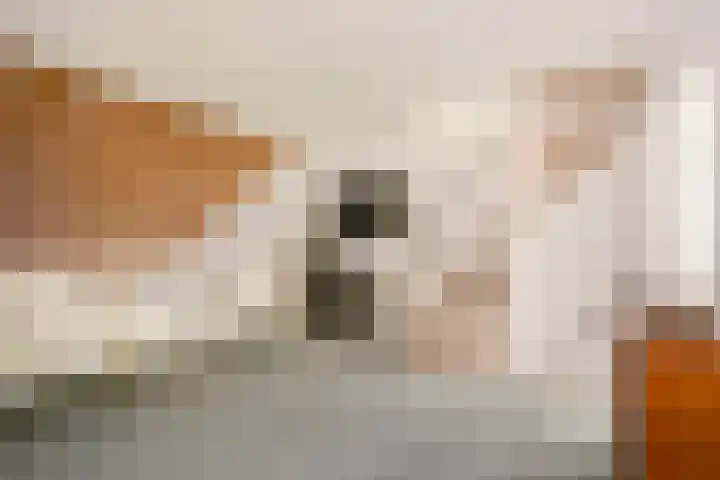 Fazantenkamp 319 Maarssen thumbnail 25