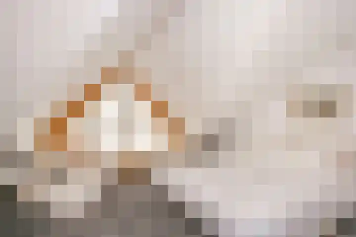 Fazantenkamp 319 Maarssen thumbnail 28