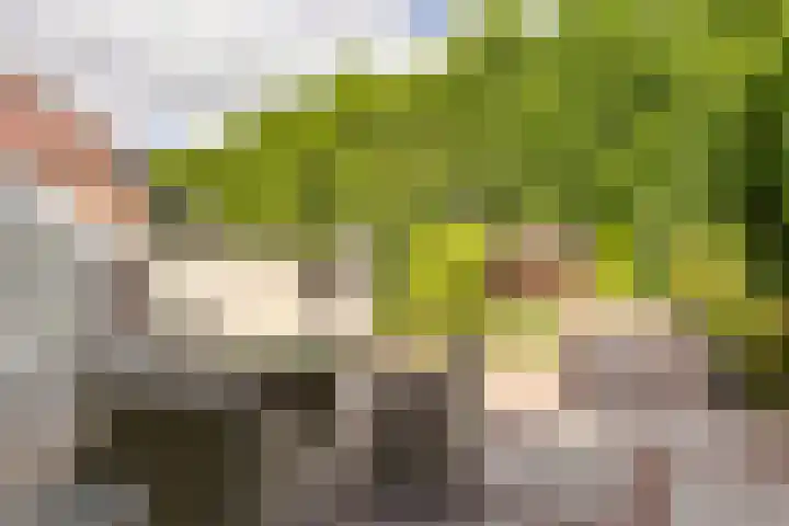 Fazantenkamp 319 Maarssen thumbnail 36