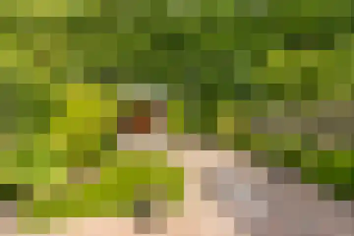 Fazantenkamp 319 Maarssen thumbnail 37