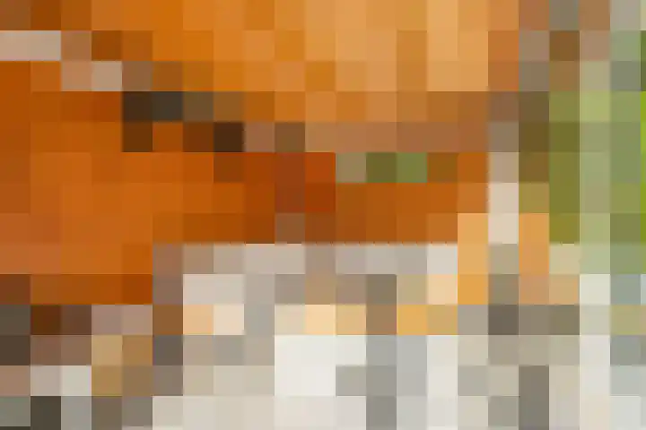 Fazantenkamp 319 Maarssen thumbnail 39