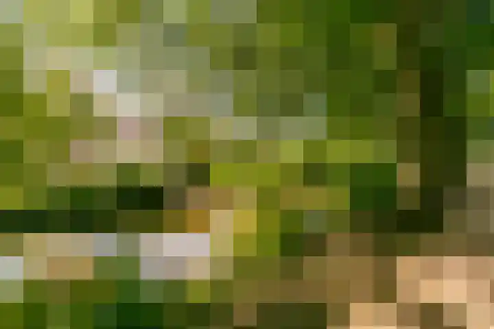 Fazantenkamp 319 Maarssen thumbnail 4