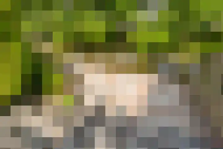 Fazantenkamp 319 Maarssen thumbnail 41