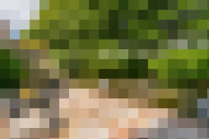 Fazantenkamp 319 Maarssen thumbnail 42