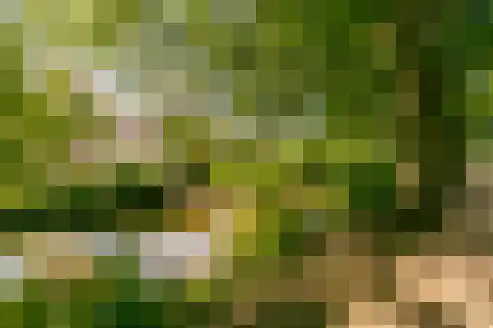 Fazantenkamp 319 Maarssen thumbnail 51