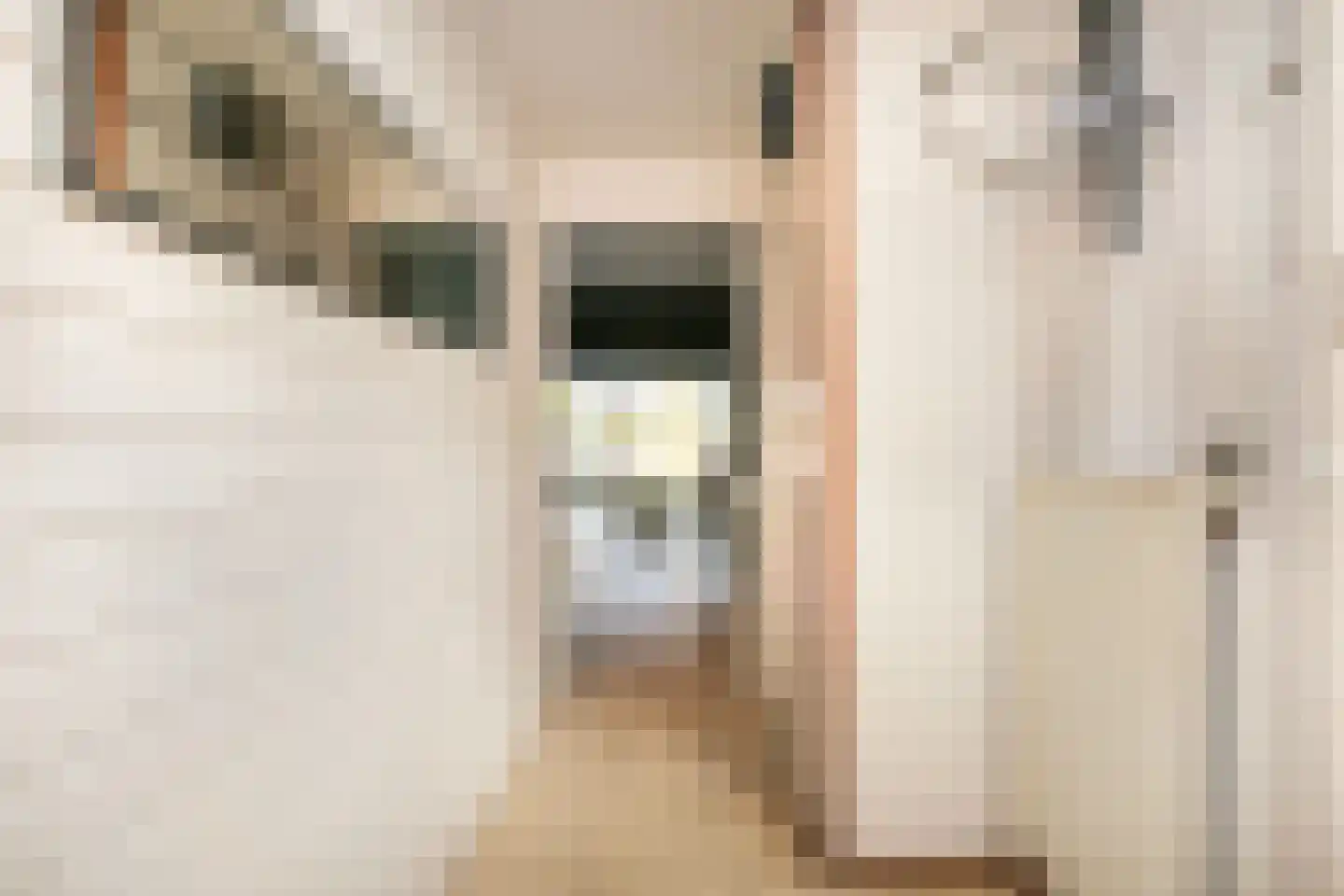 Fazantenkamp 320 Maarssen thumbnail 15