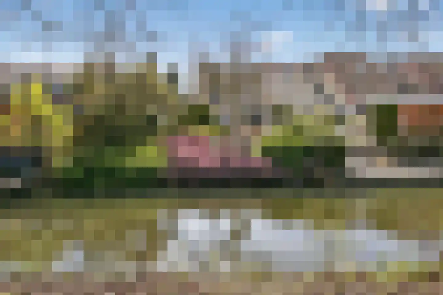 Fazantenkamp 320 Maarssen thumbnail 44