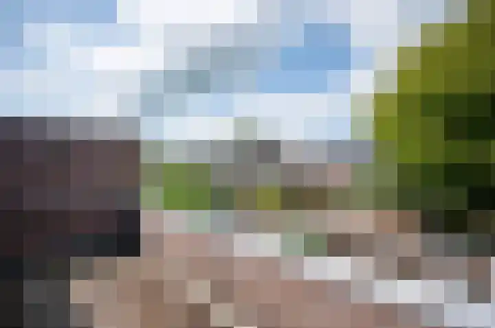 Fazantenkamp 393 Maarssen thumbnail 22