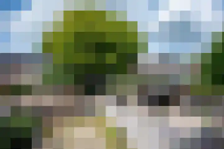 Fazantenkamp 393 Maarssen thumbnail 23