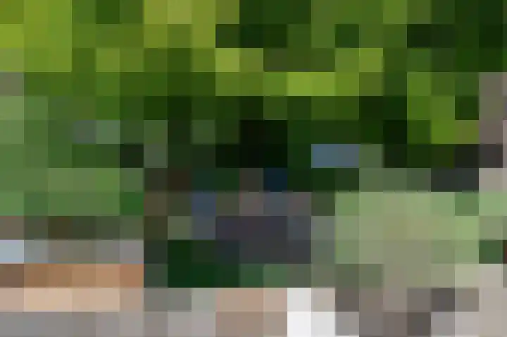 Fazantenkamp 393 Maarssen thumbnail 24